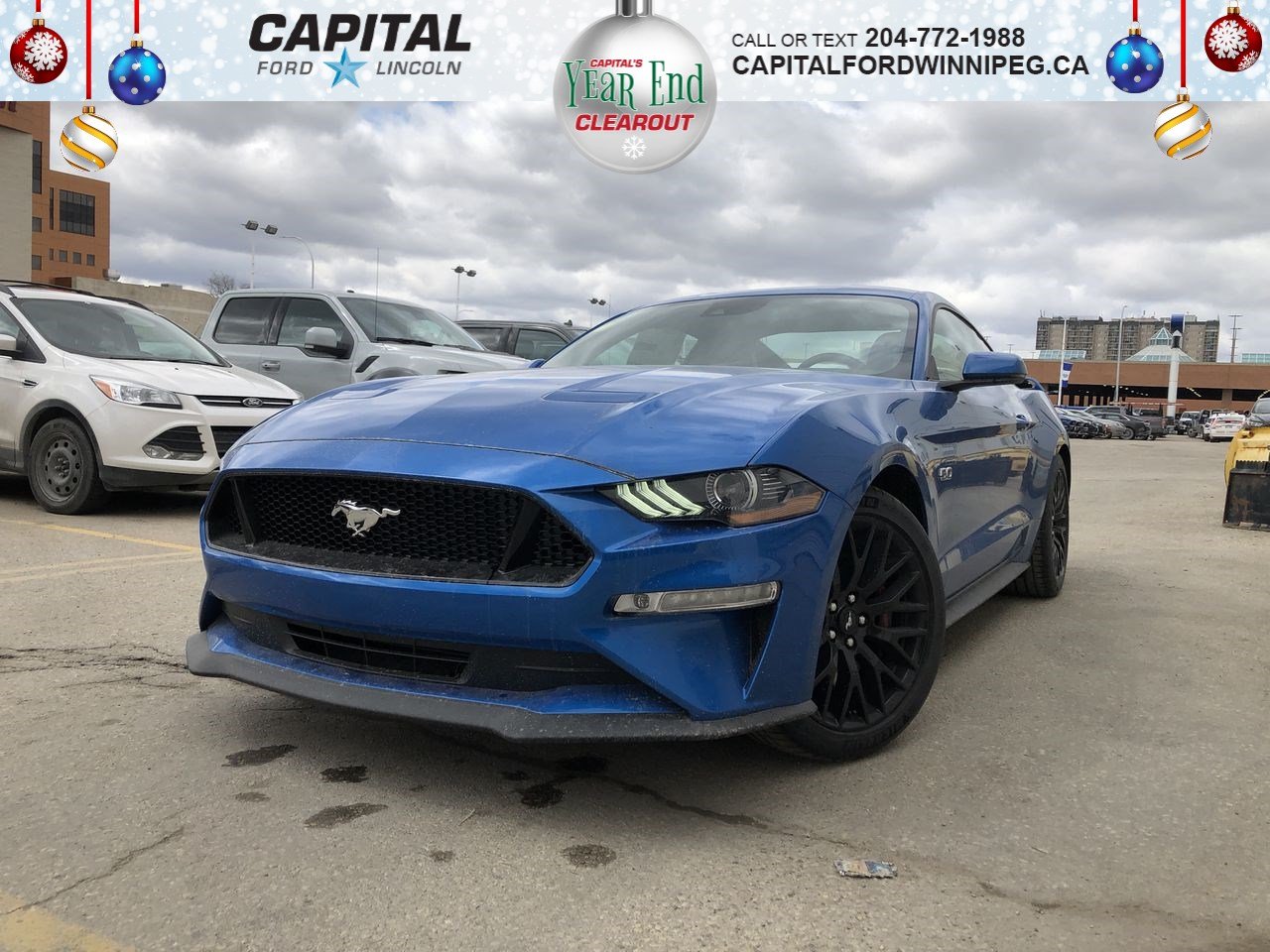 New 2019 Ford Mustang Gt Premium Performance Pack Adaptive Cruise Heated Seats With Navigation Stock P2401